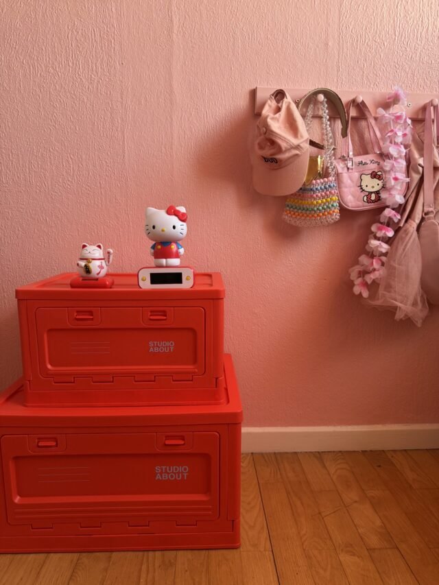 Daiktų laikymo dėžė MEDIUM RED - Image 2