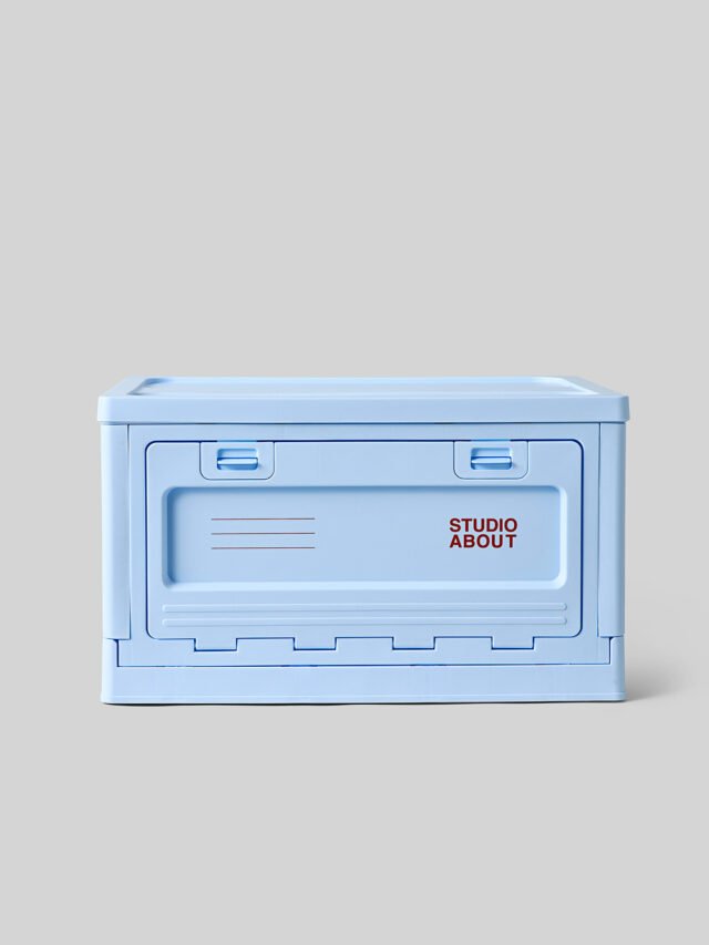 Daiktų laikymo dėžė Large Blue