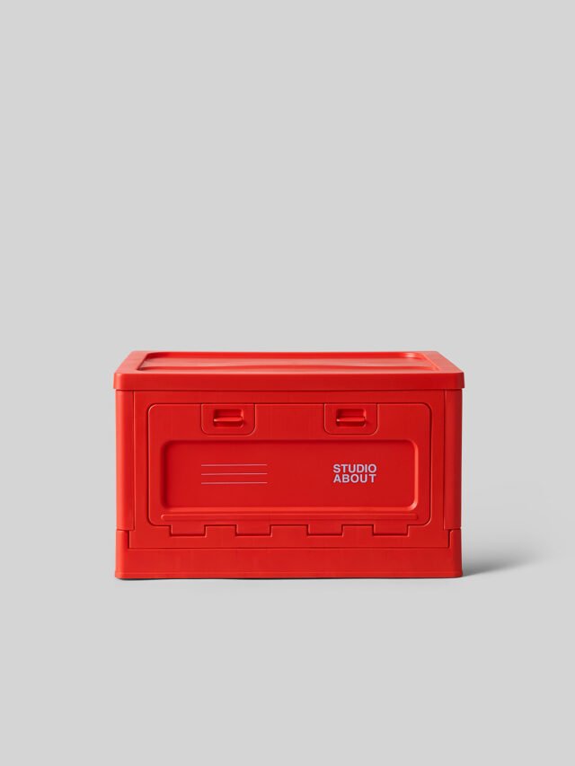 Daiktų laikymo dėžė Medium Red