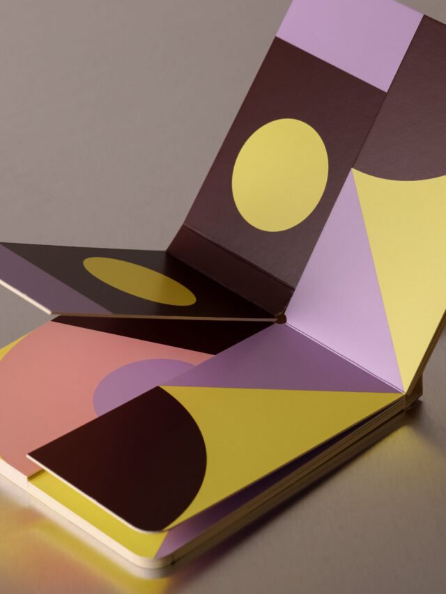 Dizaino knygelė Birds