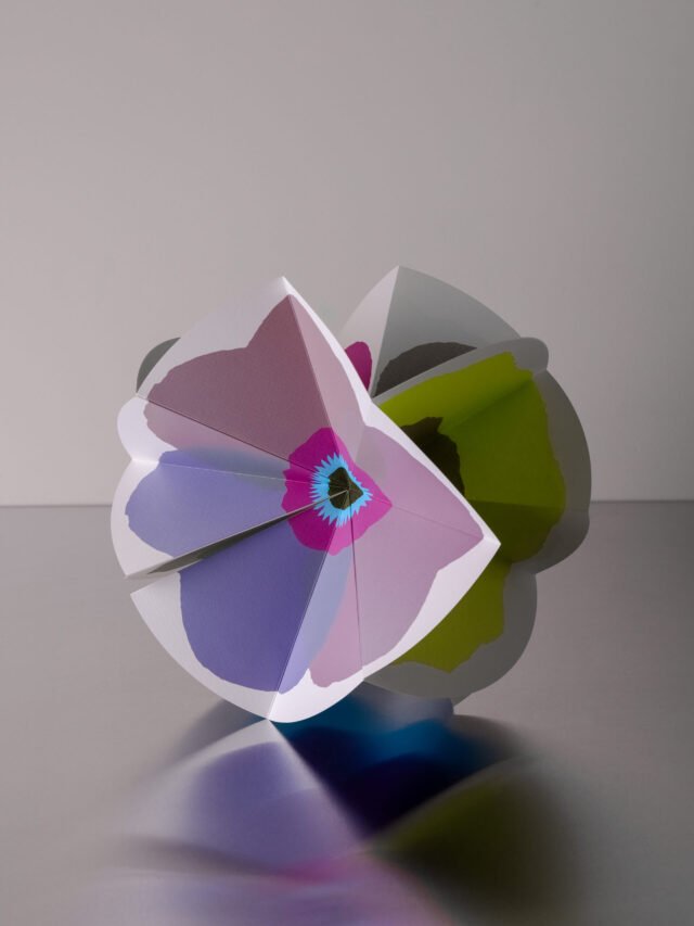 Dizaino knygelė Bloom