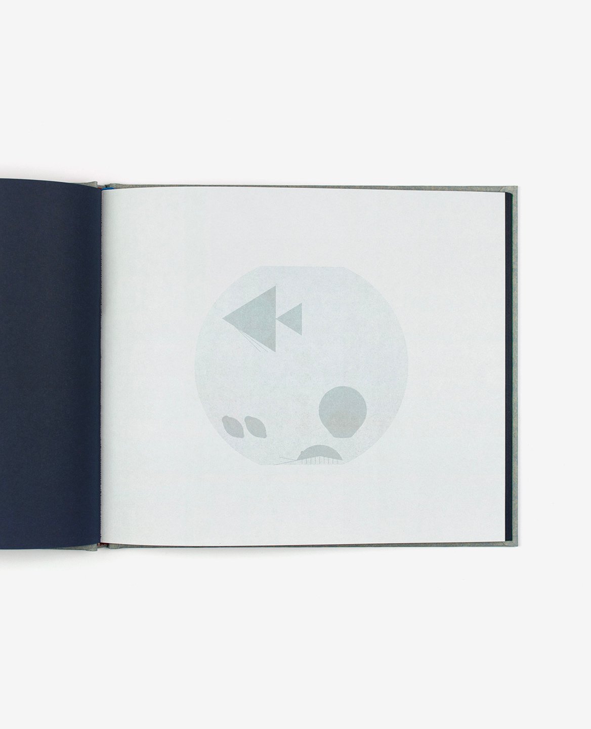 aquarium-fanette-mellier-editionsdulivre-4